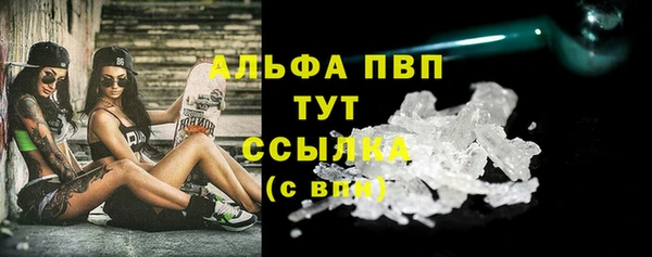 стаф Аркадак