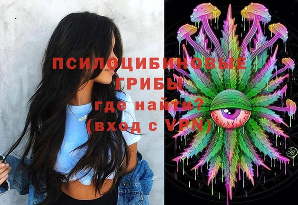 стаф Аркадак