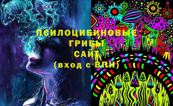 ешки Арсеньев