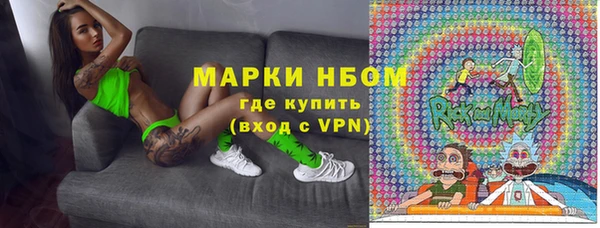 стаф Аркадак