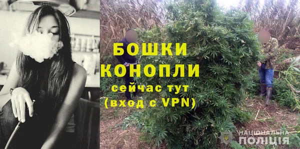 стаф Аркадак