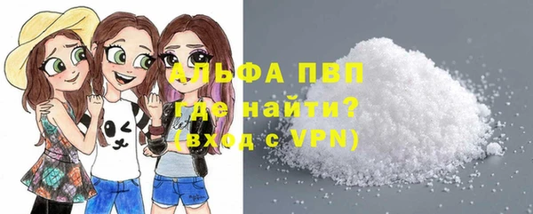 стаф Аркадак