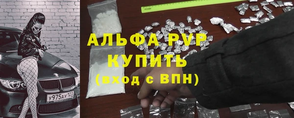 ешки Арсеньев