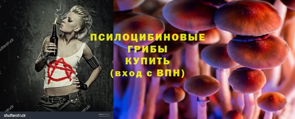 стаф Аркадак